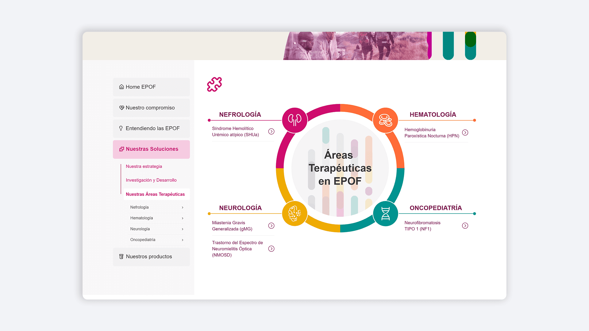 Interfaz que destaca áreas terapéuticas en EPOF mediante círculos interconectados de Nefrología, Hematología y Oncología.
