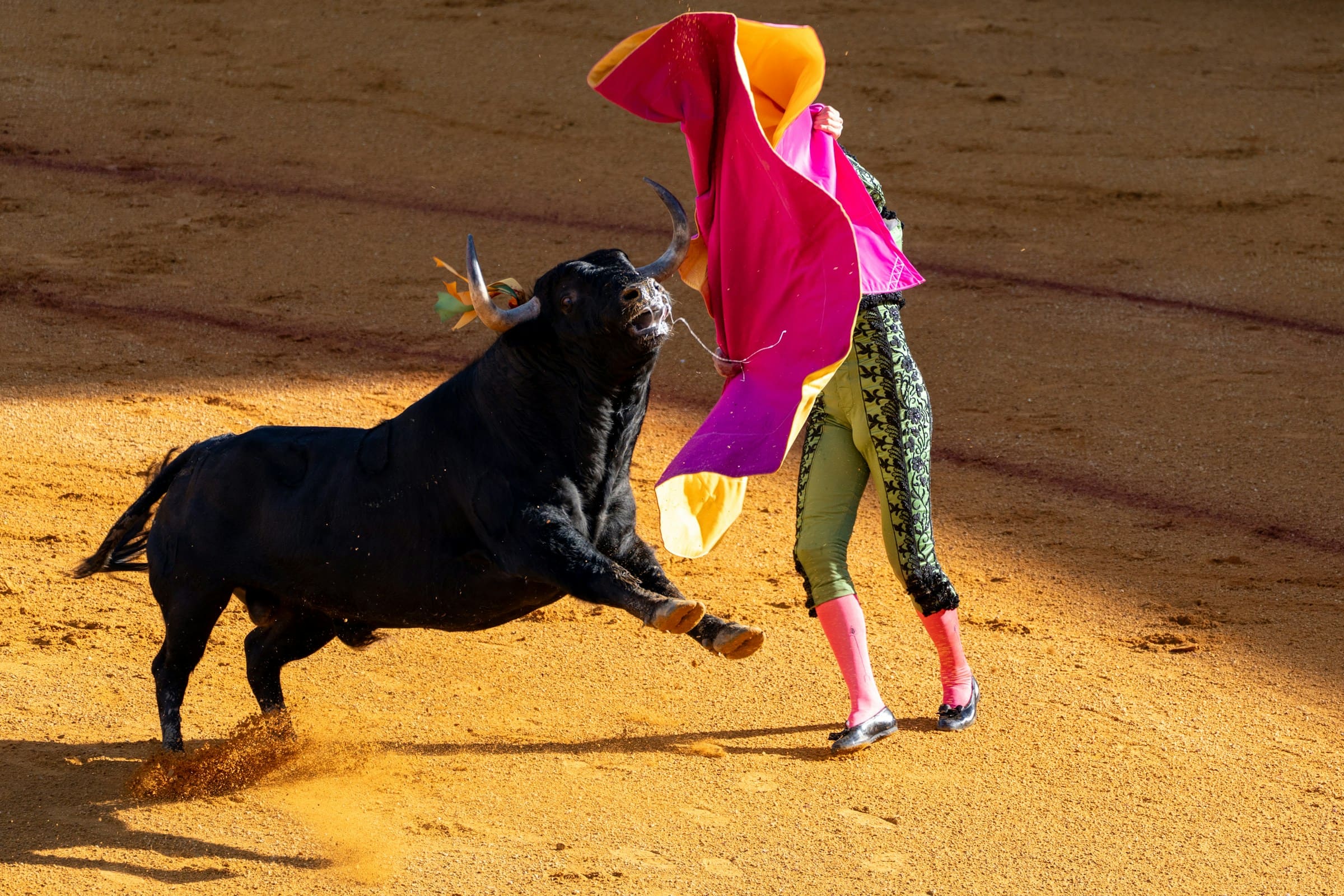 tourea