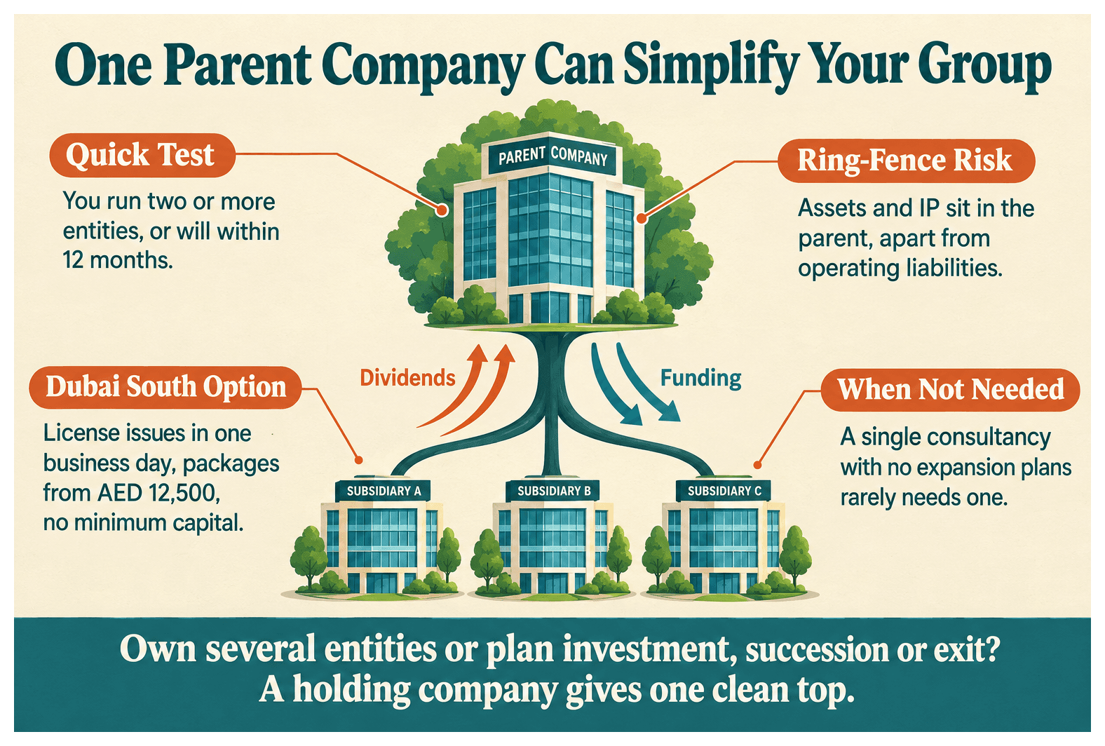 Infographic: Holding Company in Dubai: When Does It Make Sense