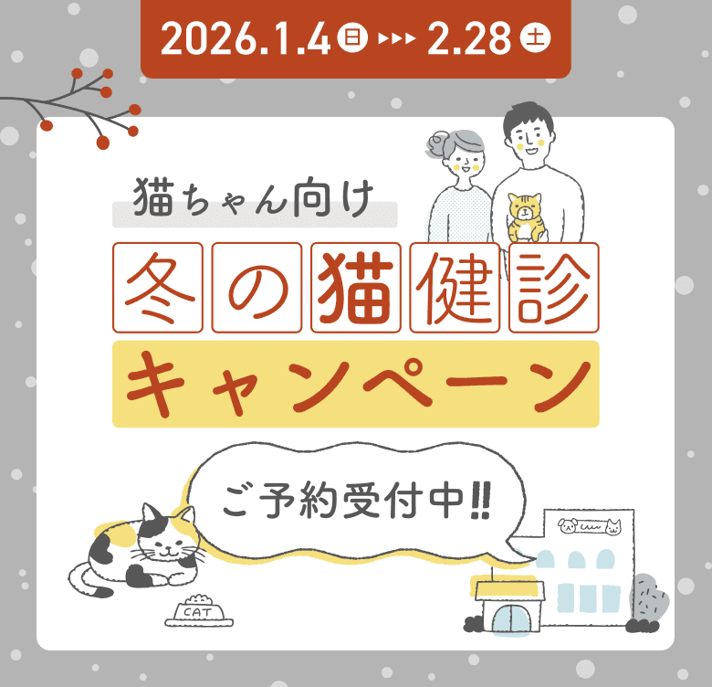 冬の健康診断キャンペーン（猫の健診・血液検査・X線検査）