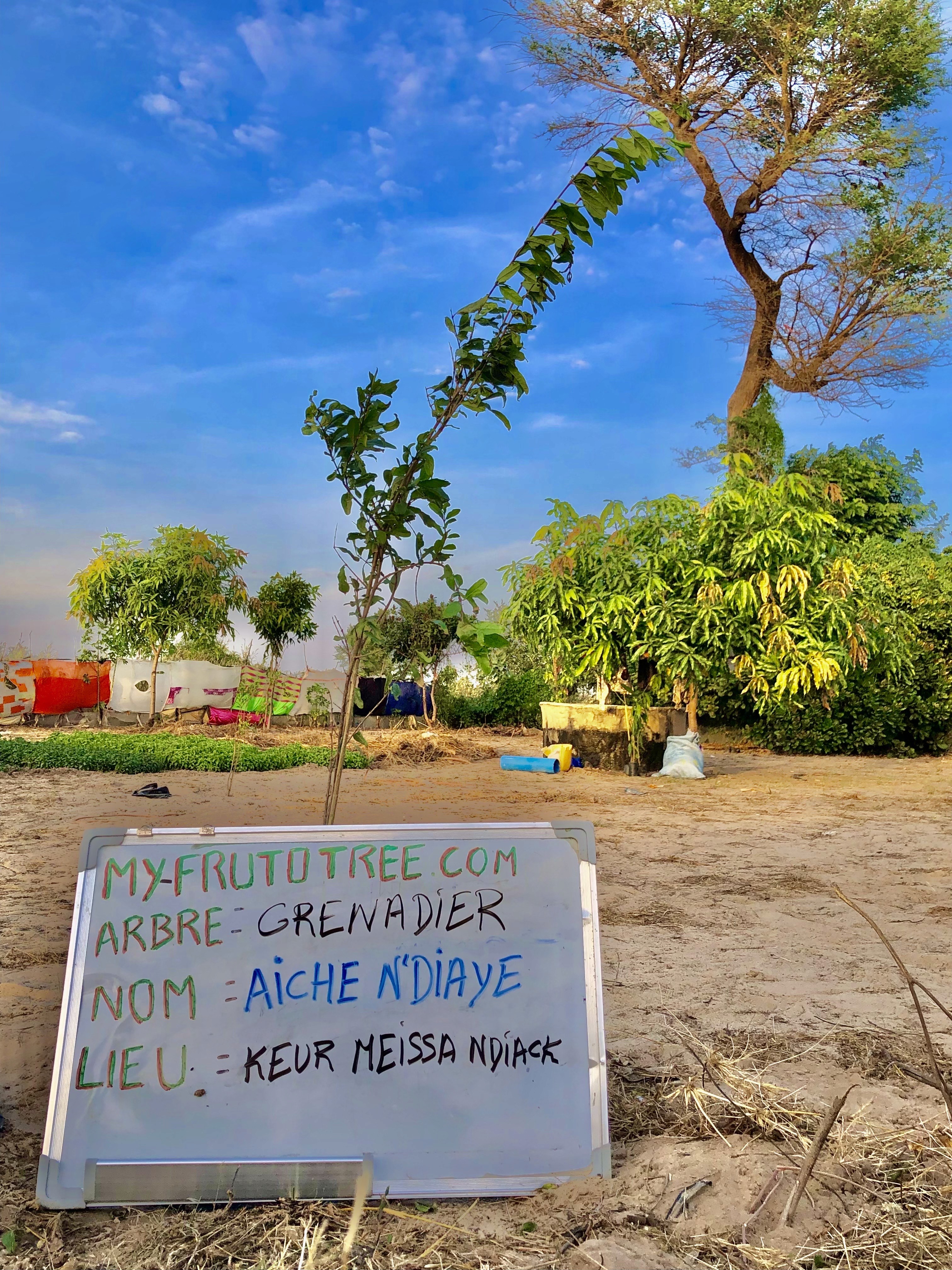 Different colo chemicals in tube