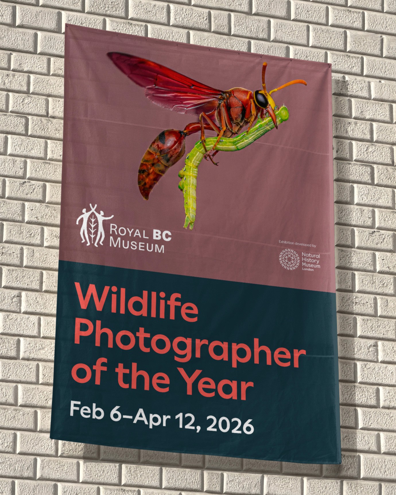 Banner hanging against a brick wall featuring the image of a winged insect and the title Wildlife Photographer of the Year