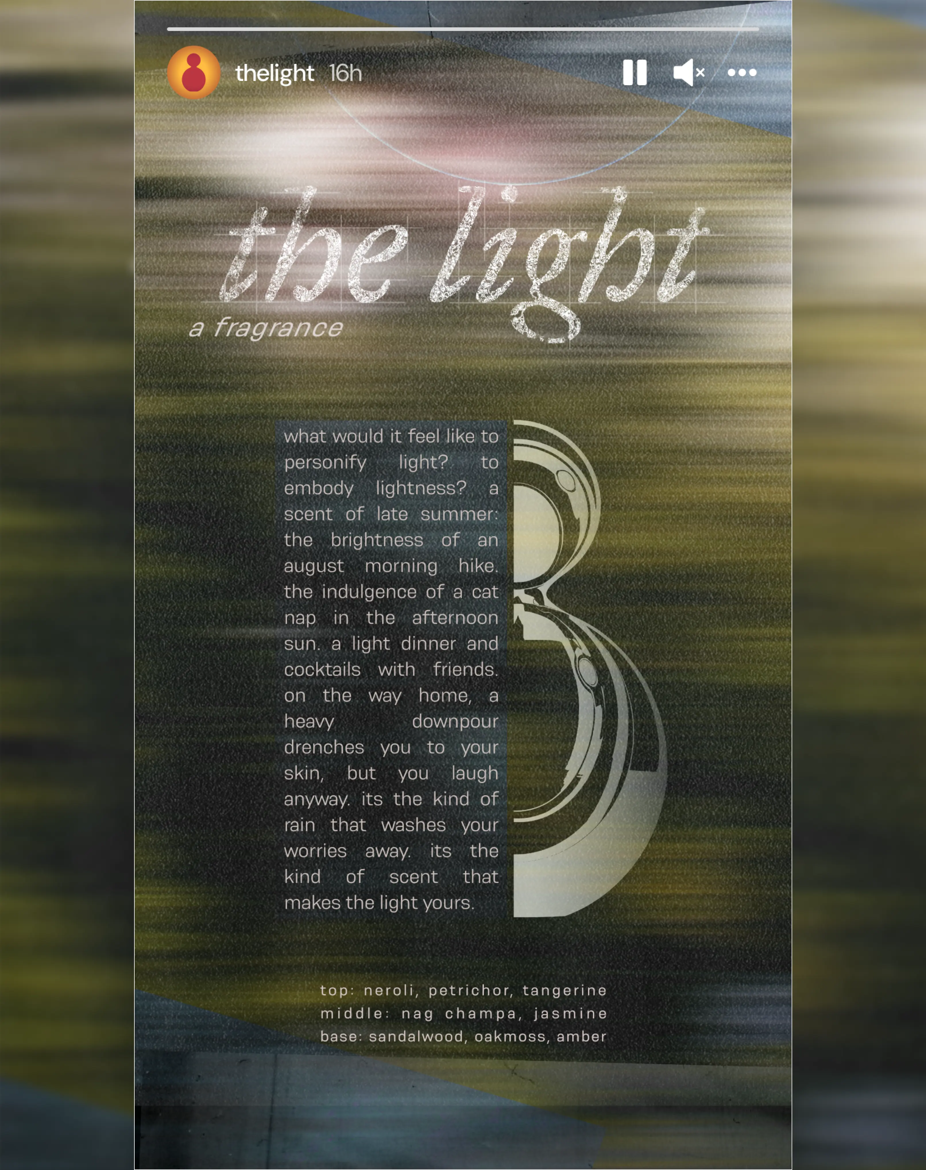 Social media story concept for summer fragrance 'the light'
