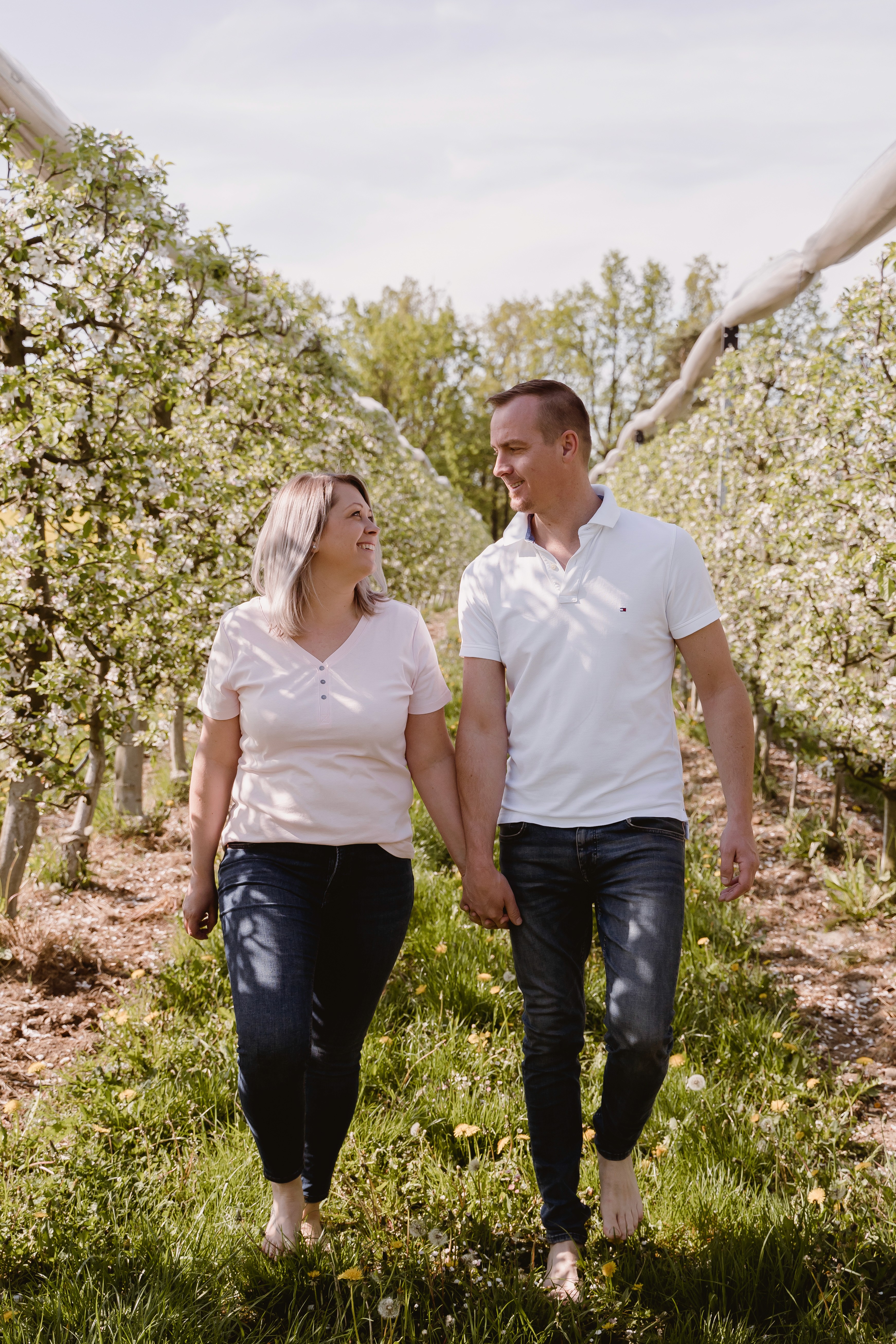 Sunlit field of wildflowers and grasses blooming