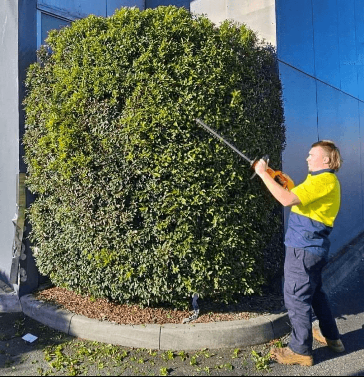 Seasonal planting