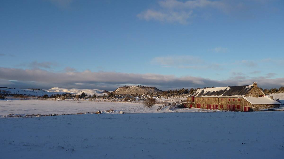Étude de cas Instants d’Absolu, développement de la visibilité et des réservations d’un éco-lodge