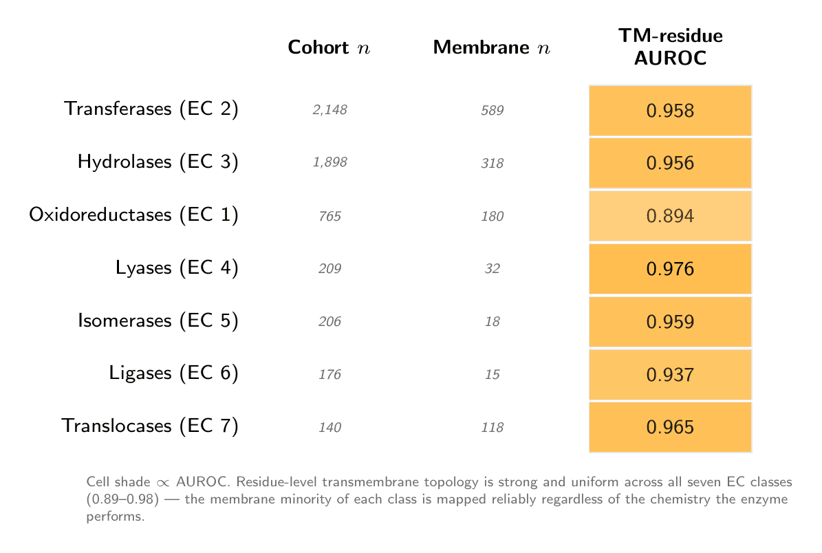 Orbion's AstraPTM2 Machine Learning Model's PTM Predictions on an Example Protein