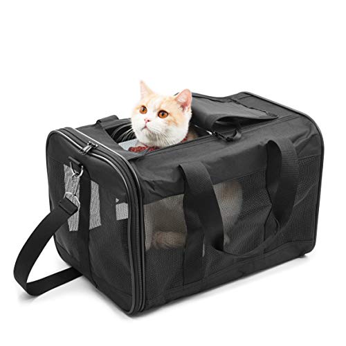 HITCH Pet Travel Carrier Soft Sided Portable Bag for Cats, Small Dogs, Kittens or Puppies, Collapsible, Durable, Airline Approved, Travel Friendly, Carry Your Pet with You Safely and Comfortably (M)