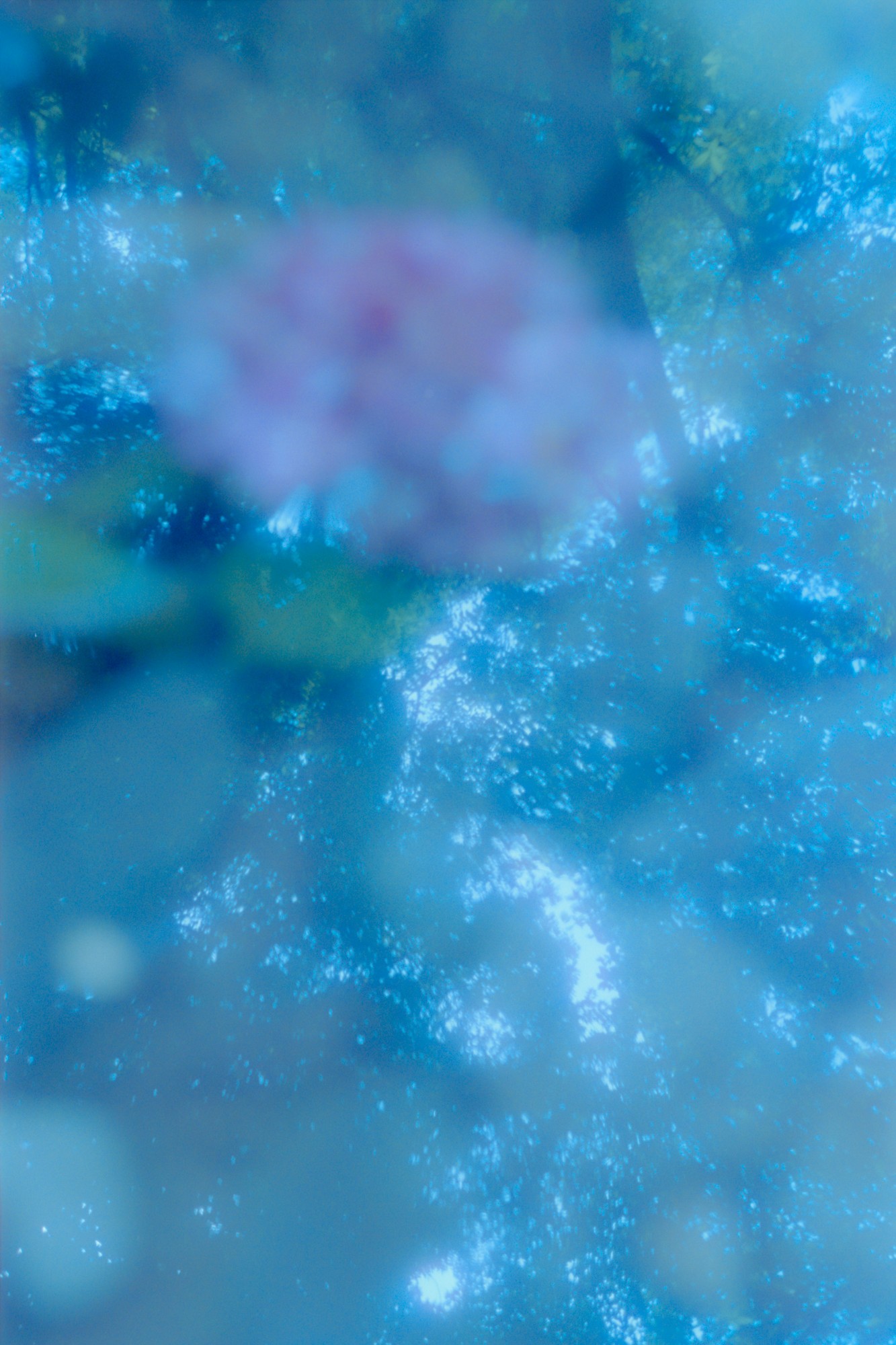 Taisei Matsumoto, 2023 exhibition work 029