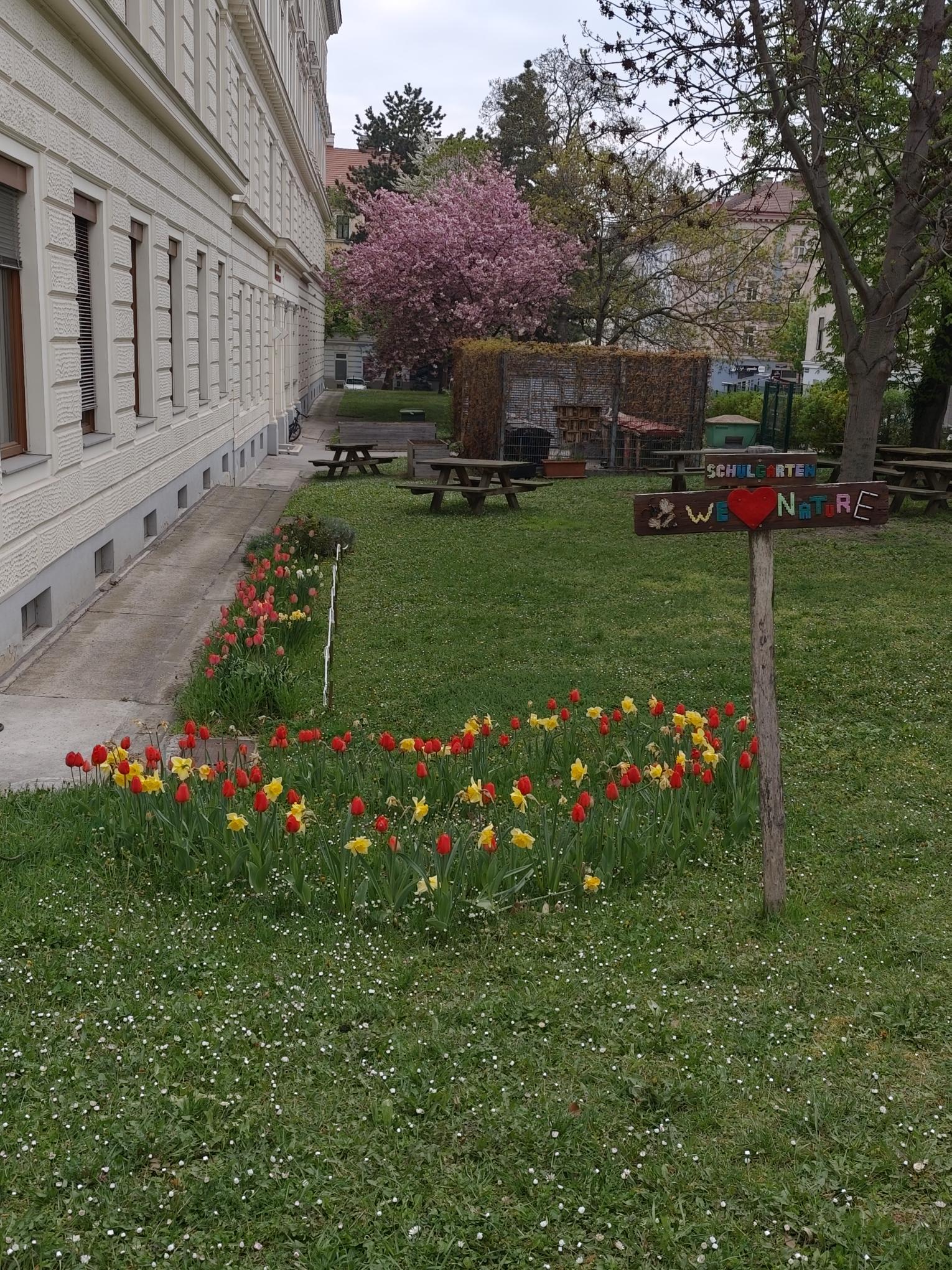 Polka Dot Yayoi Kusama