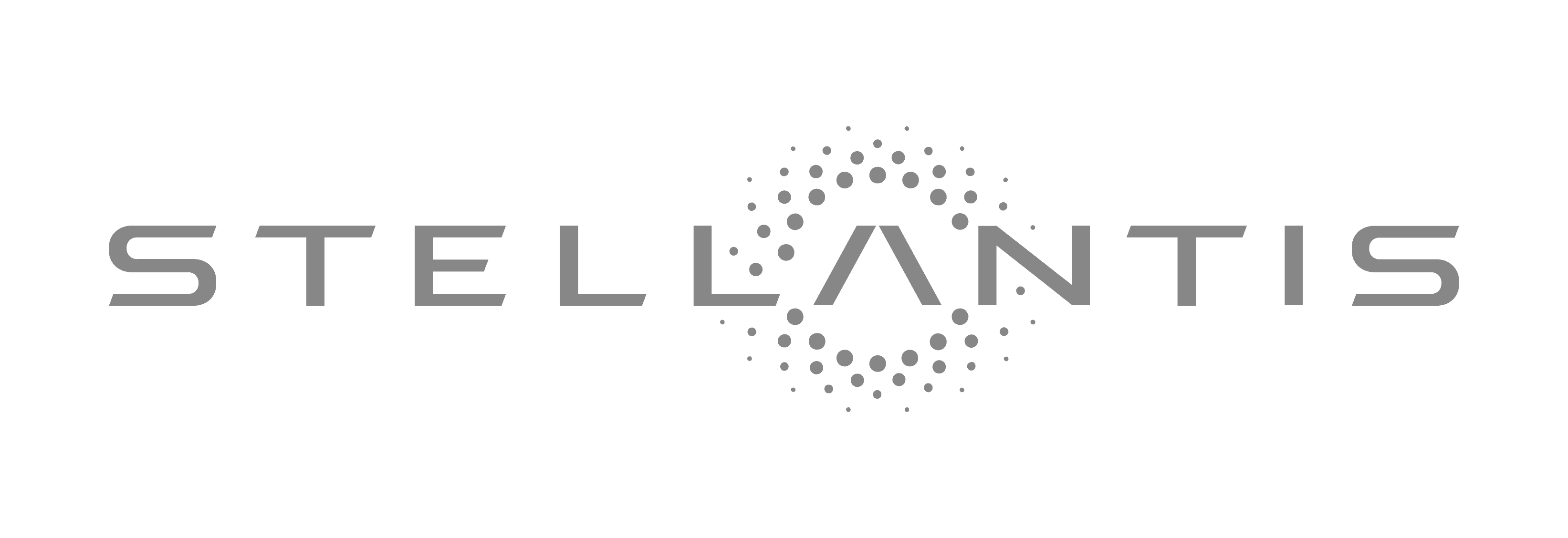 Logo Placeholder