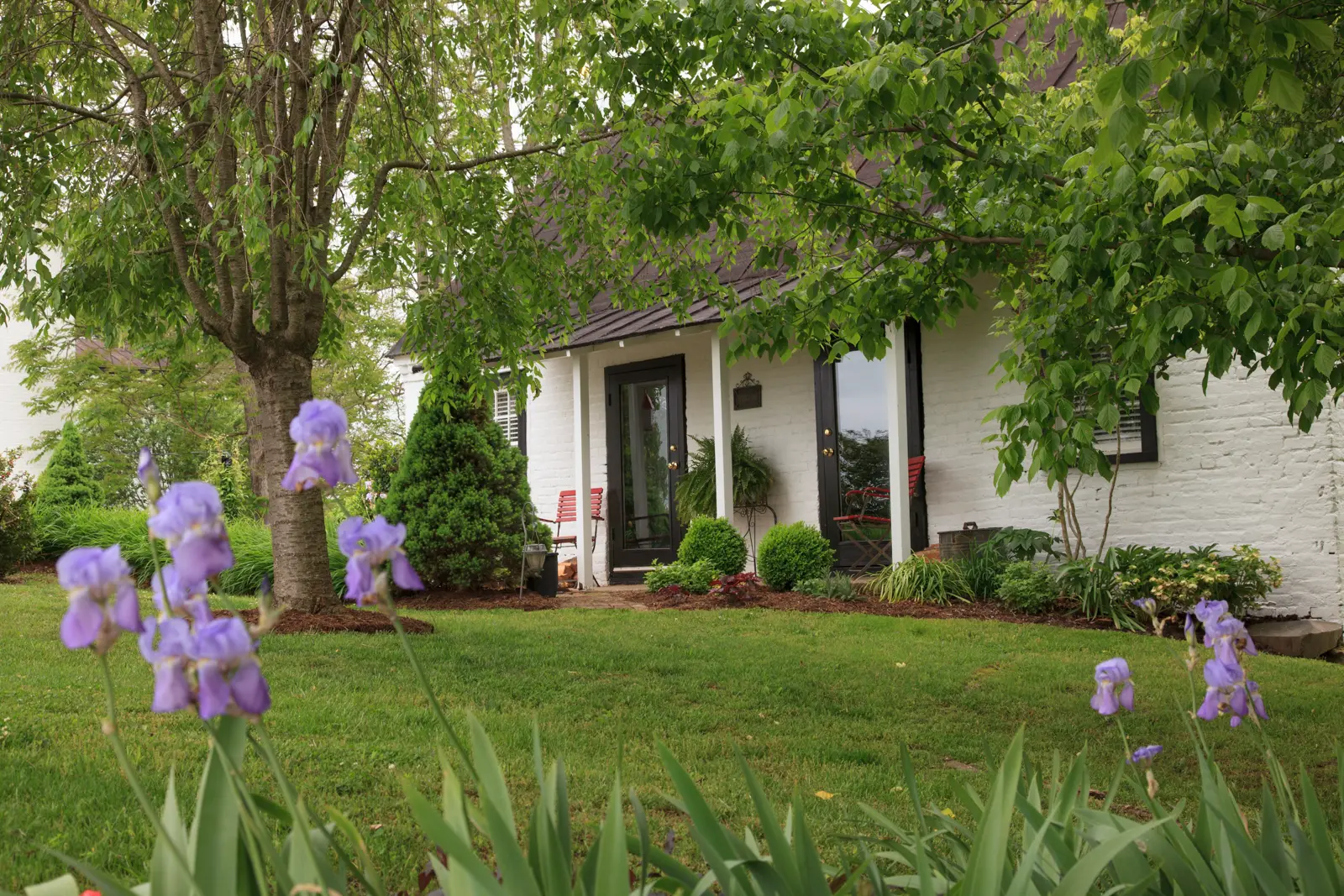 White brick house framed by green trees, a lawn, and purple irises.