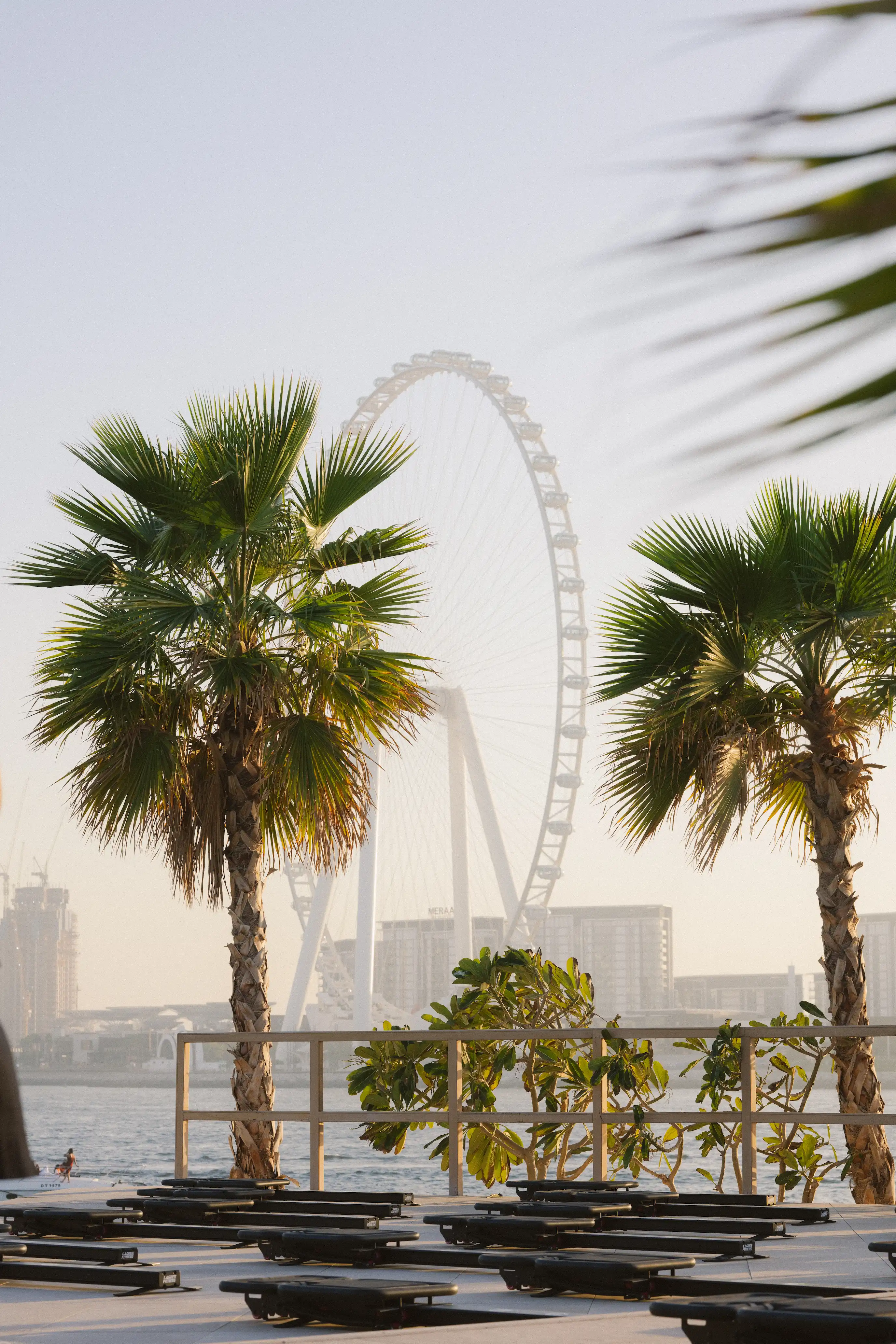 Be Beach DXB Dune Agency