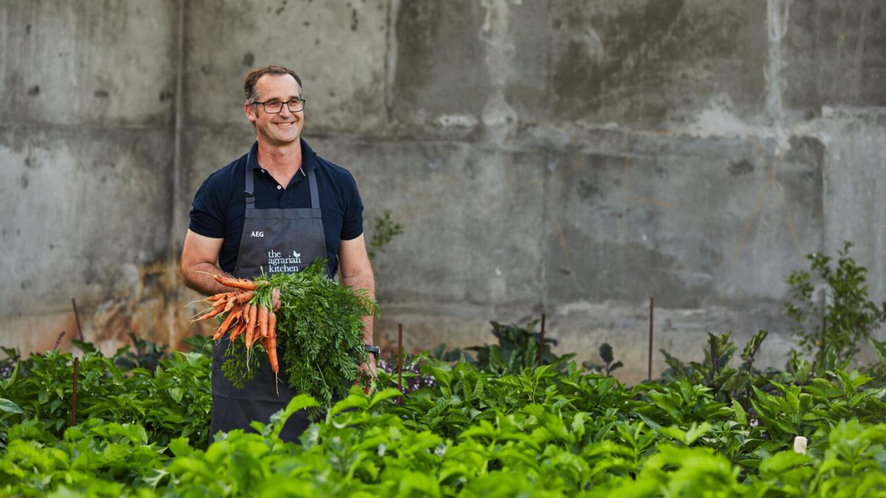 Man in an apron holding freshly harvested carrots in a garden.