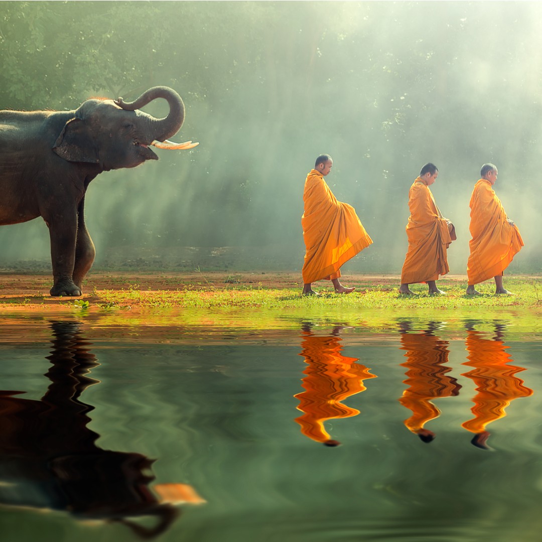 Monks with elephant