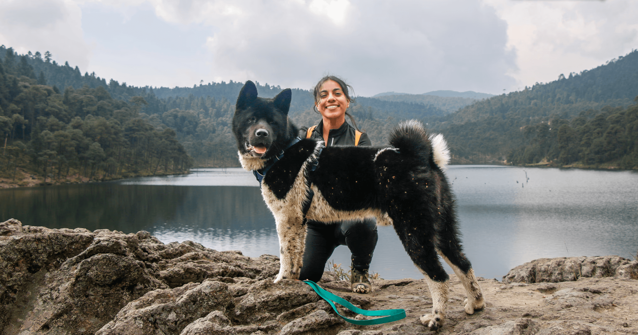 The image featured at the top of the about us page #1