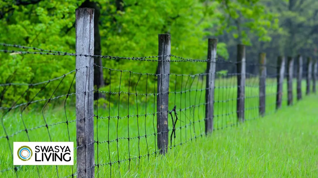 Best Fencing for Agricultural Land in India