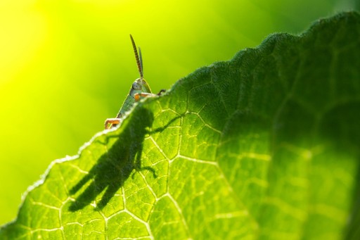 A young person with curly hair smiles at the camera while sitting in front of a laptop against a dark background.