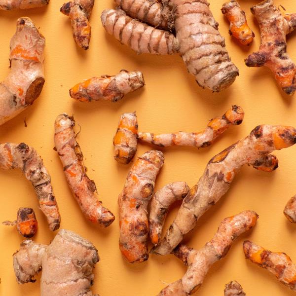 Curcuma