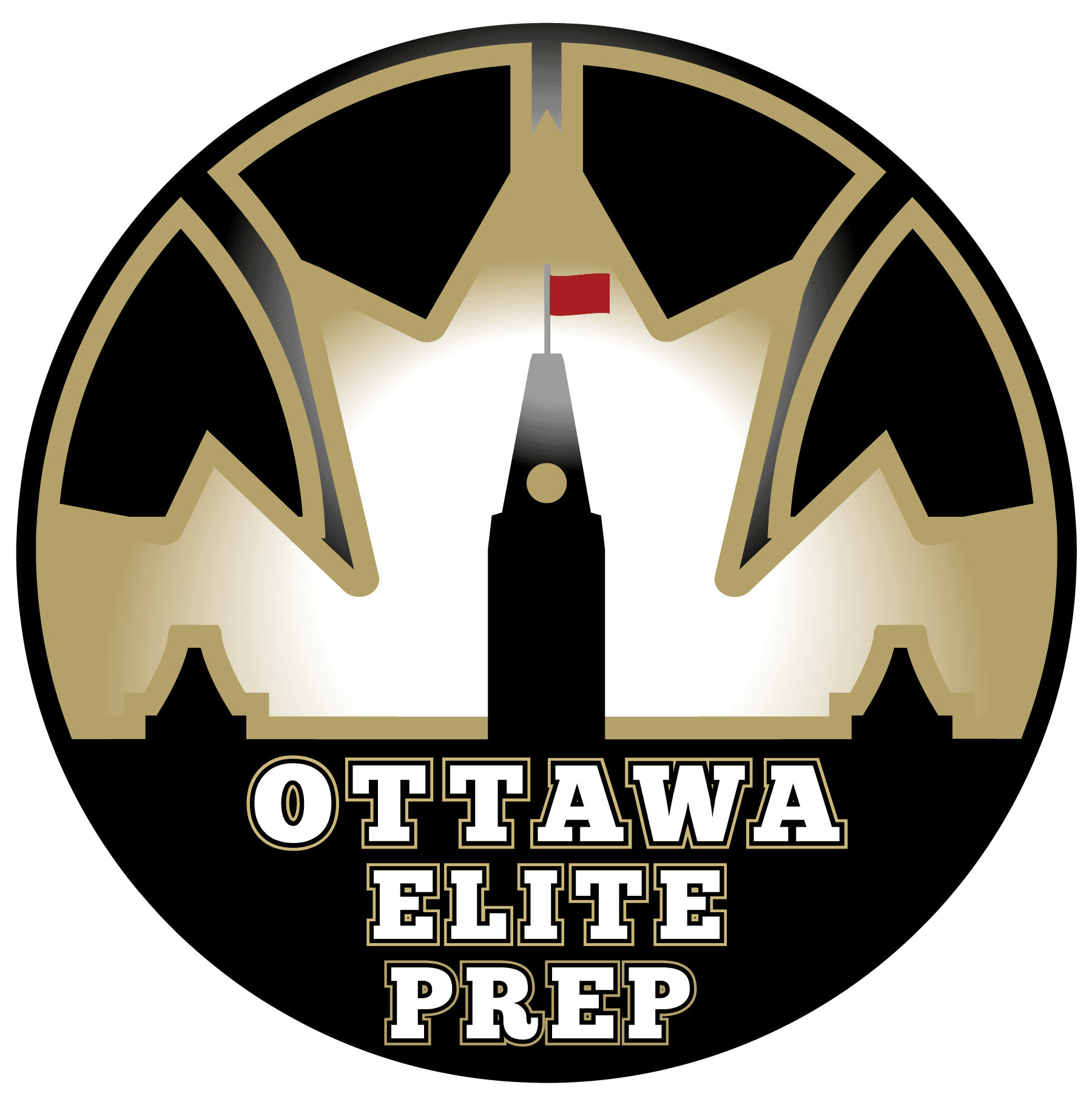 A TeamLinkt Sports League Partner Logo 