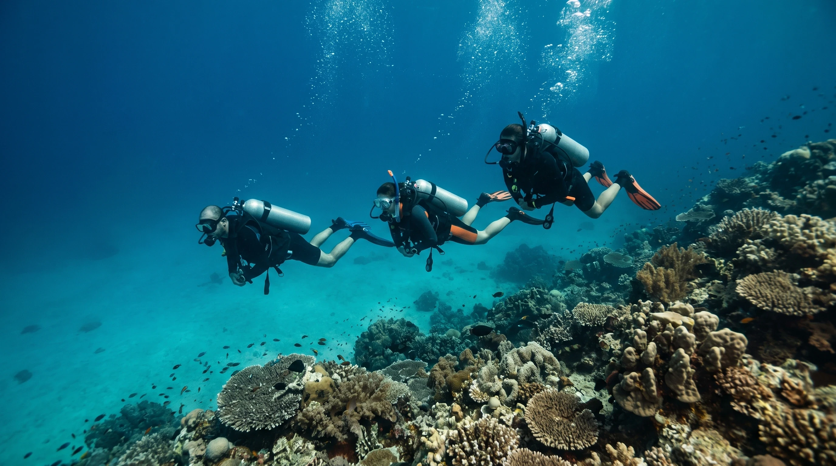 Fun Dive — DESCENT CLUB