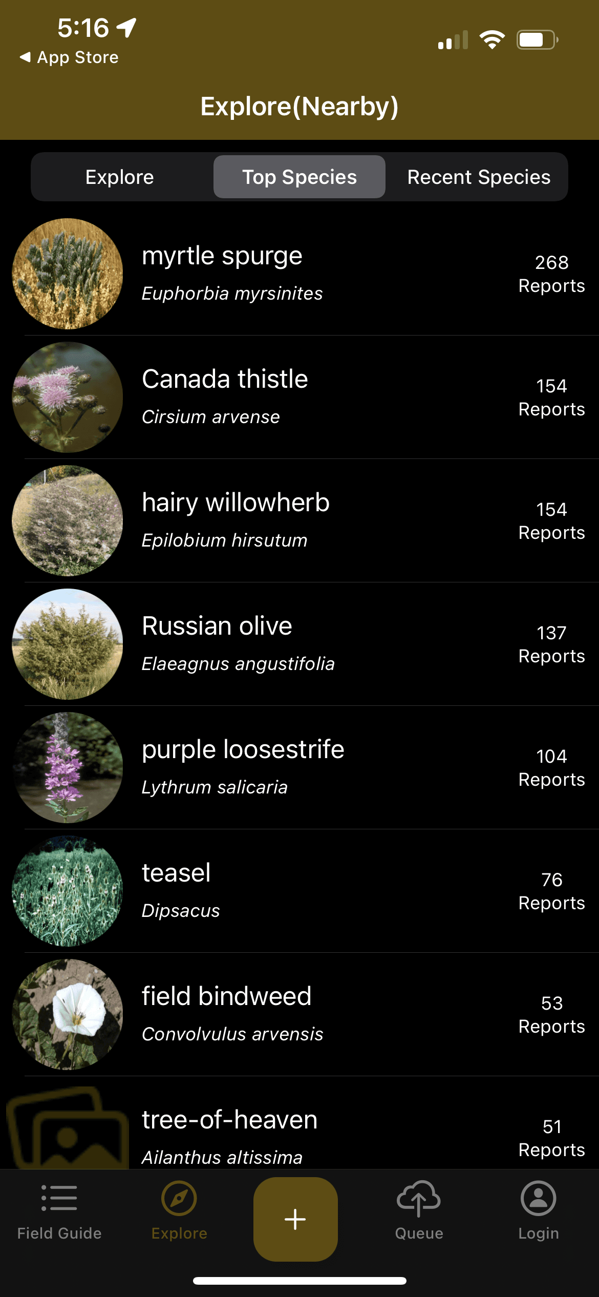 screenshot from IveGot1 showing list of plant species nearby