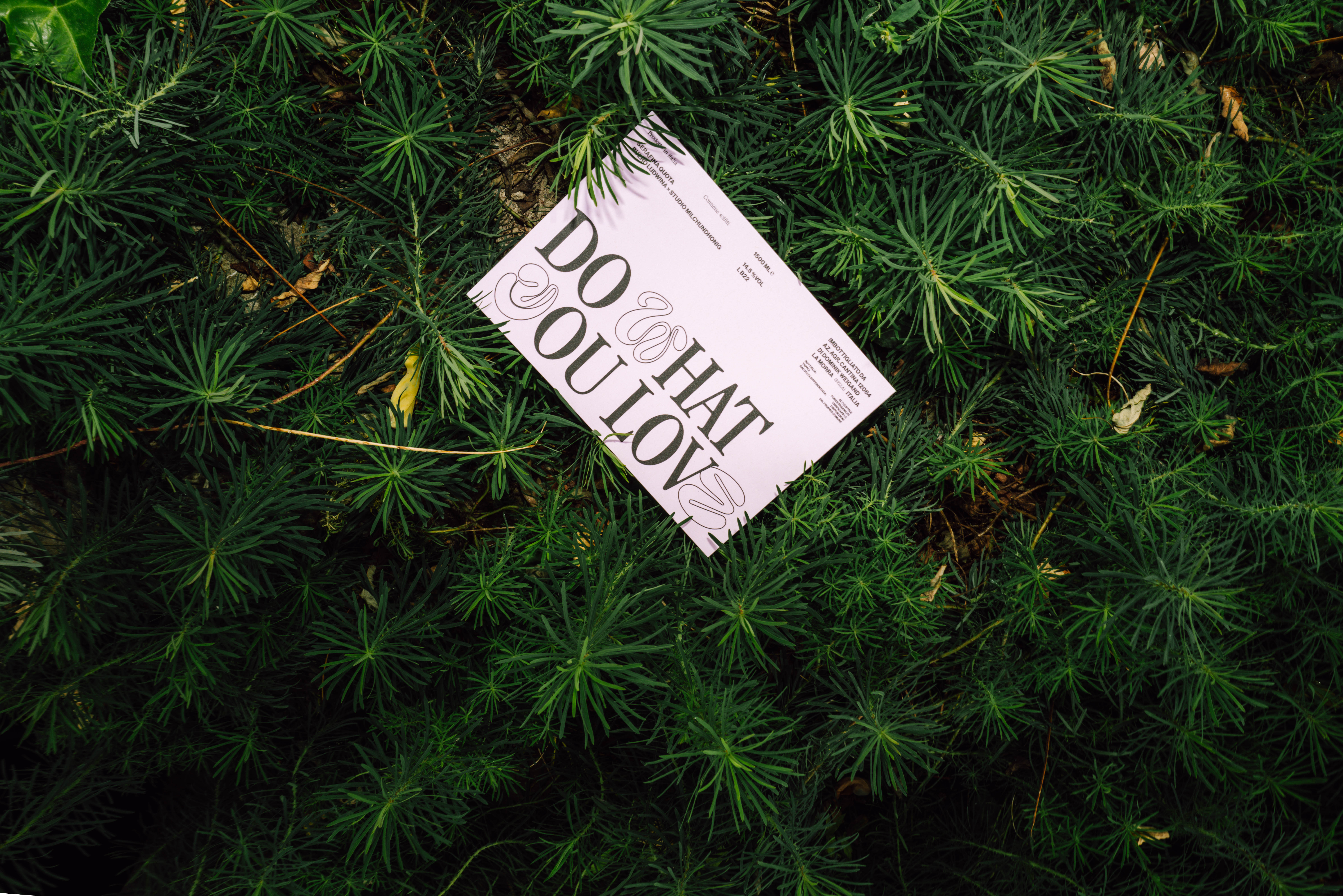 Sailboats on Blue Ocean