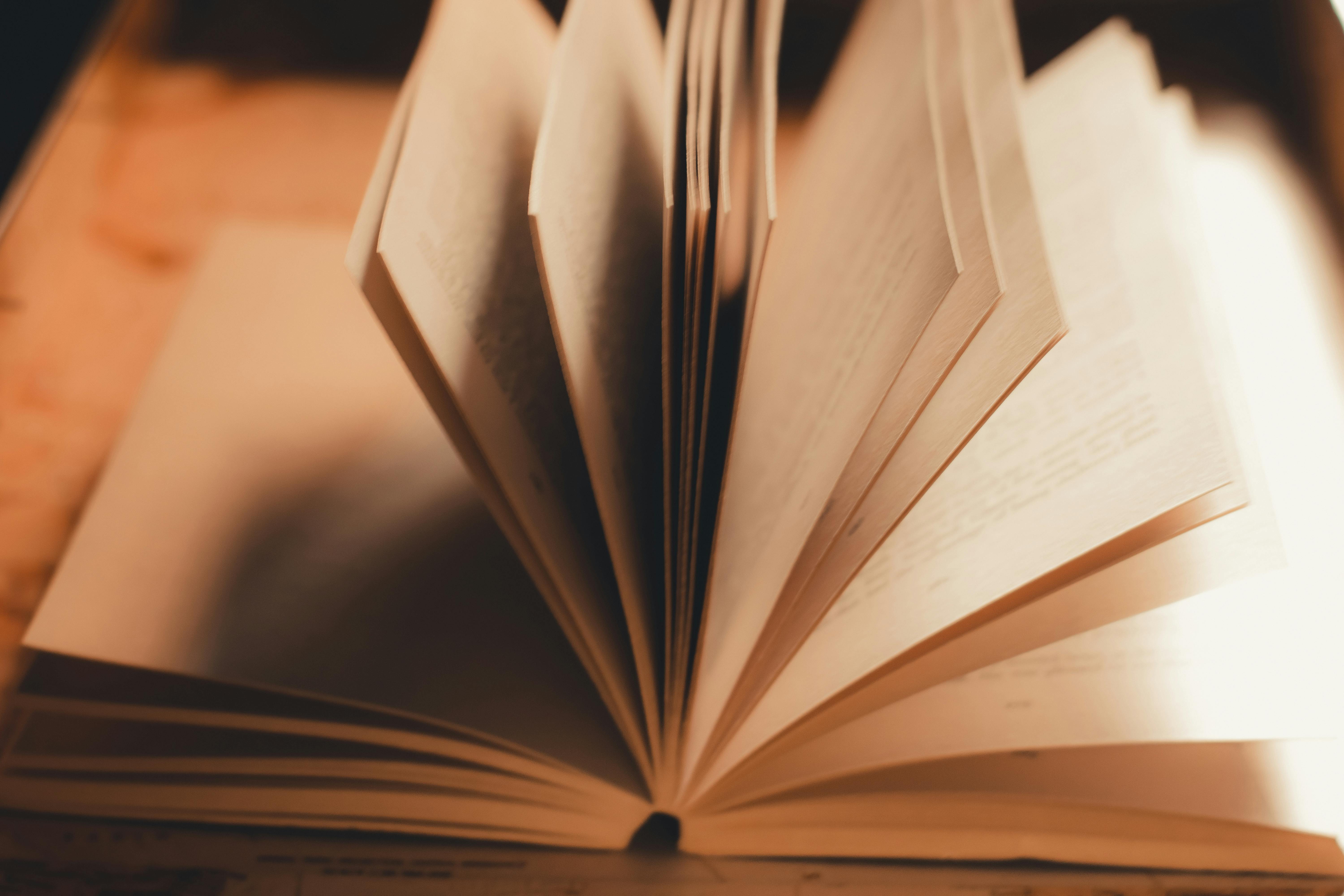 people sitting on chair in front of laptop computers