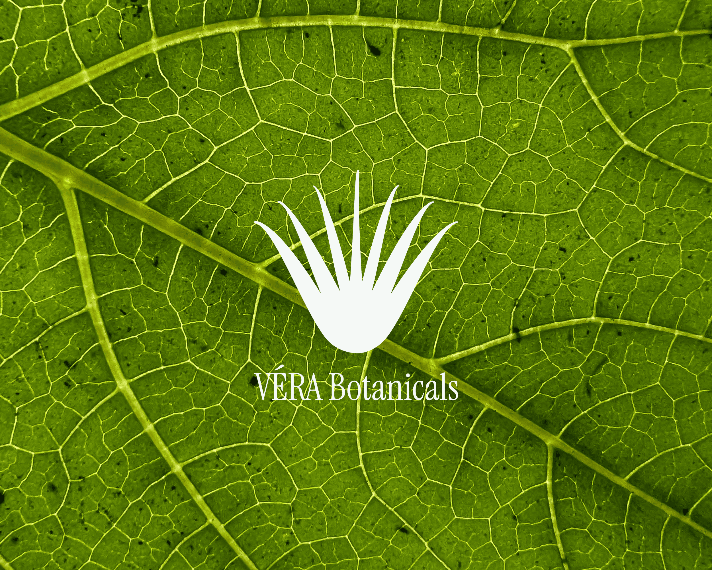 The VÉRA Botanicals logo design in front of a green leafy-textured background.