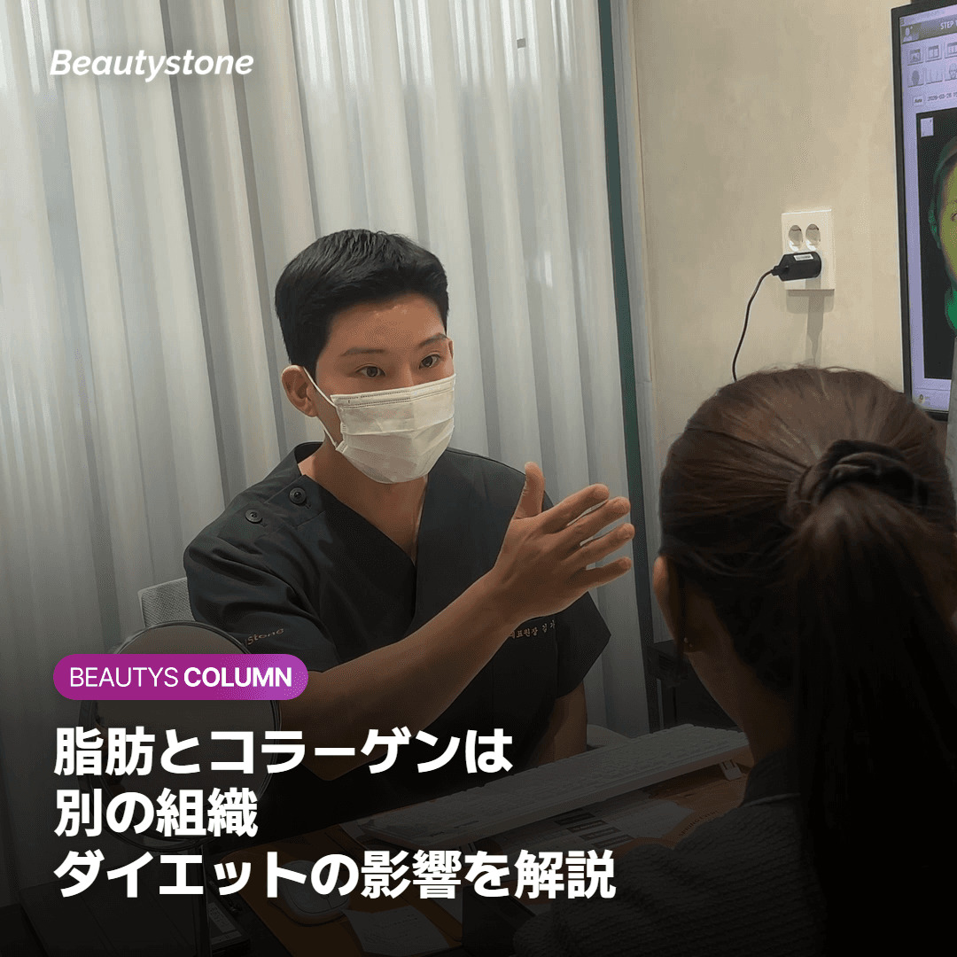 ダイエット時の脂肪とコラーゲンの違いを示すイメージ