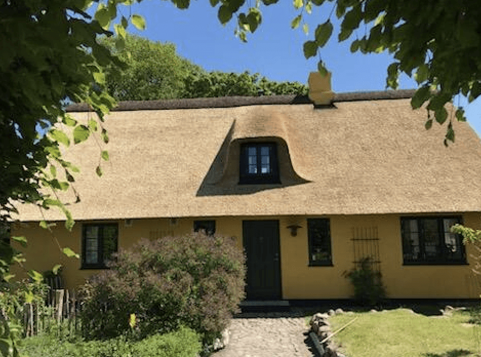 Image 10