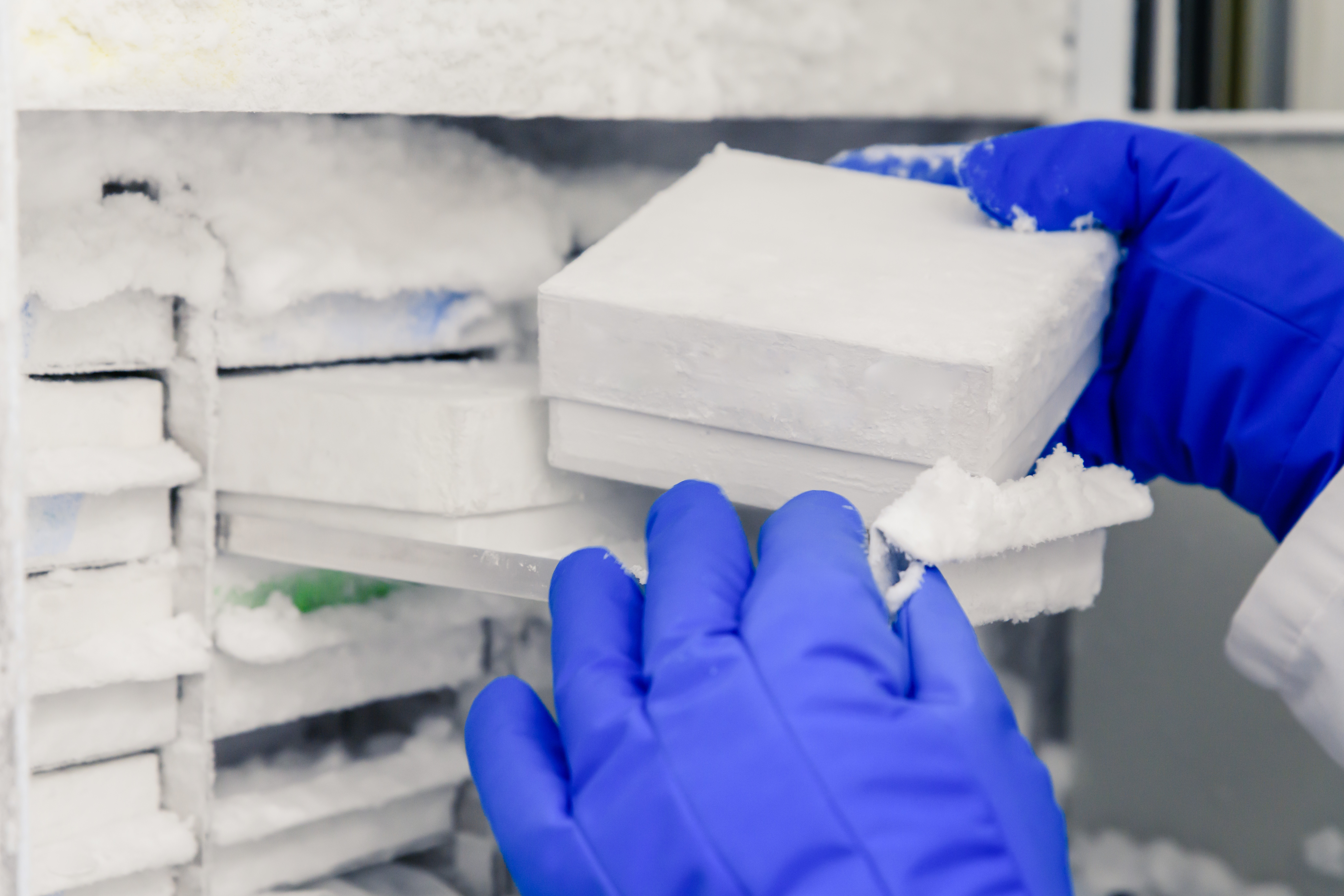 closeup shot of a laboratory worker incubating samples