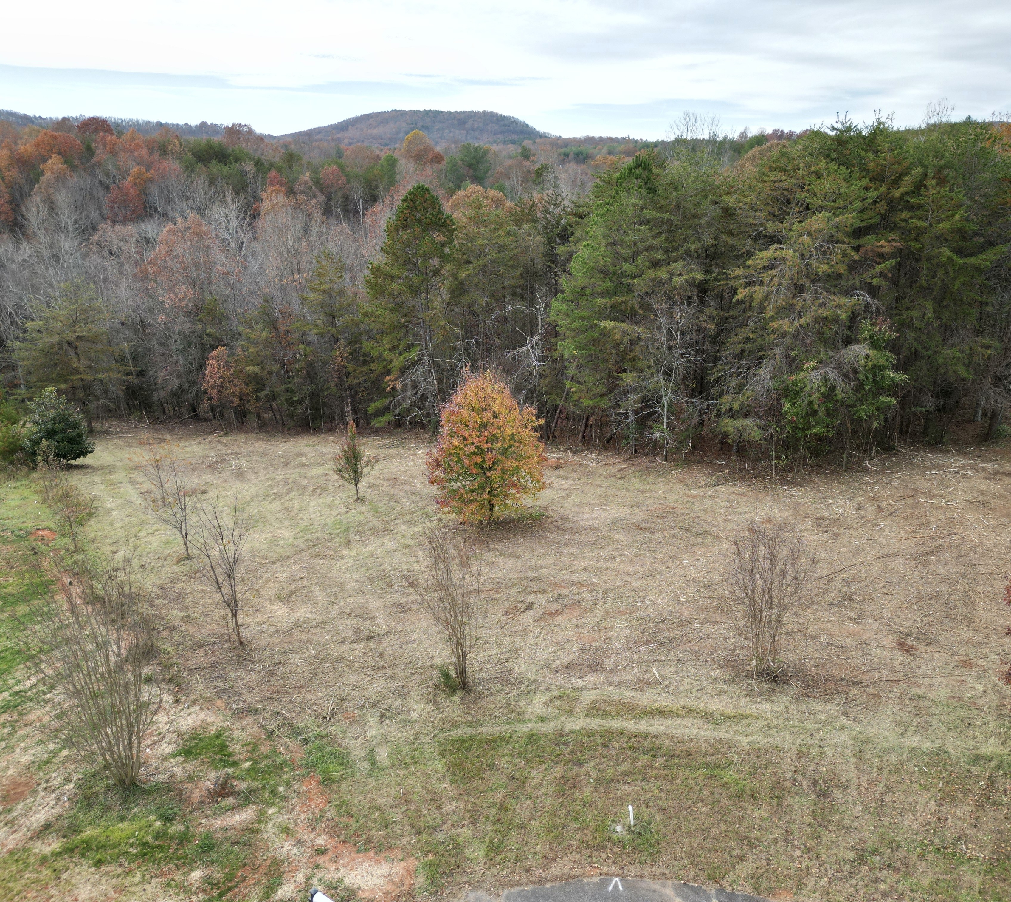 Actual Numeria property land near Morganton, North Carolina