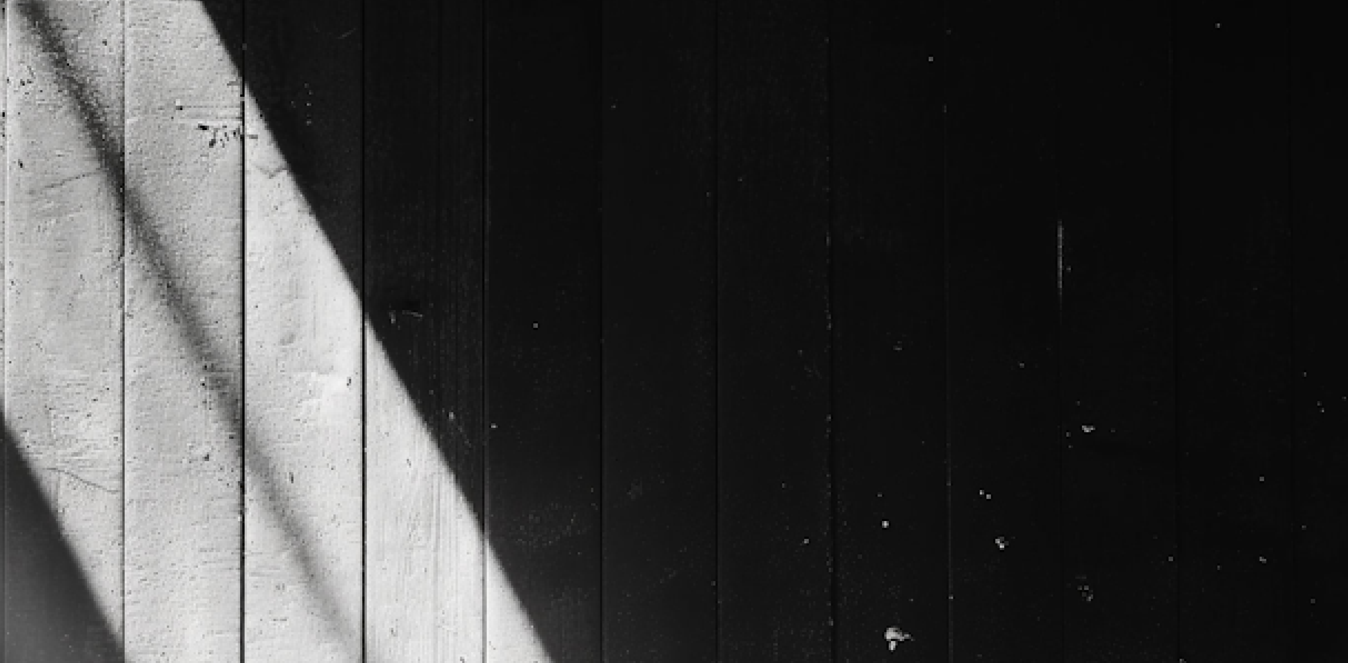 Black and white photo showcasing a textured wooden wall with visible grain patterns and natural imperfections.