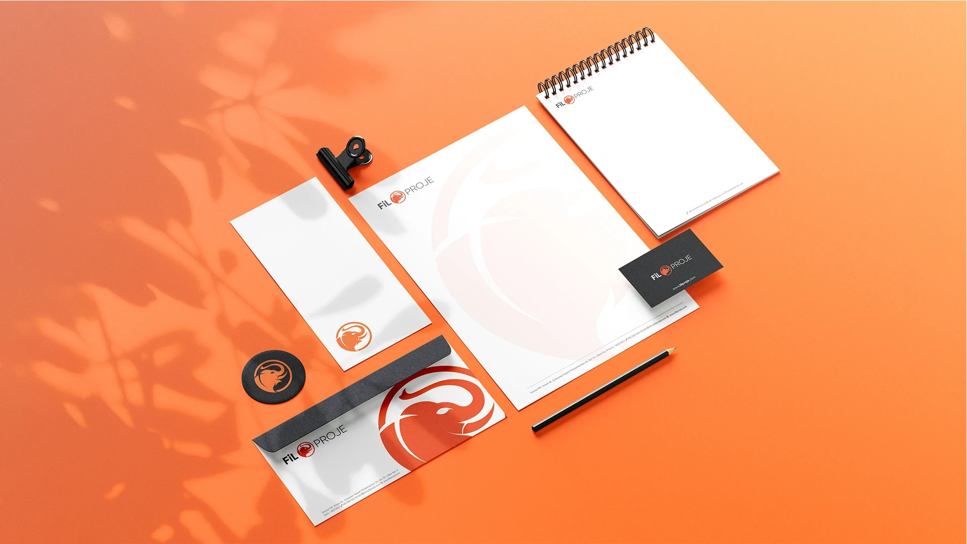 Macro of clear effervescent bubbles in water on a soft gray background—sparkling, minimal texture for clean skincare aesthetic.