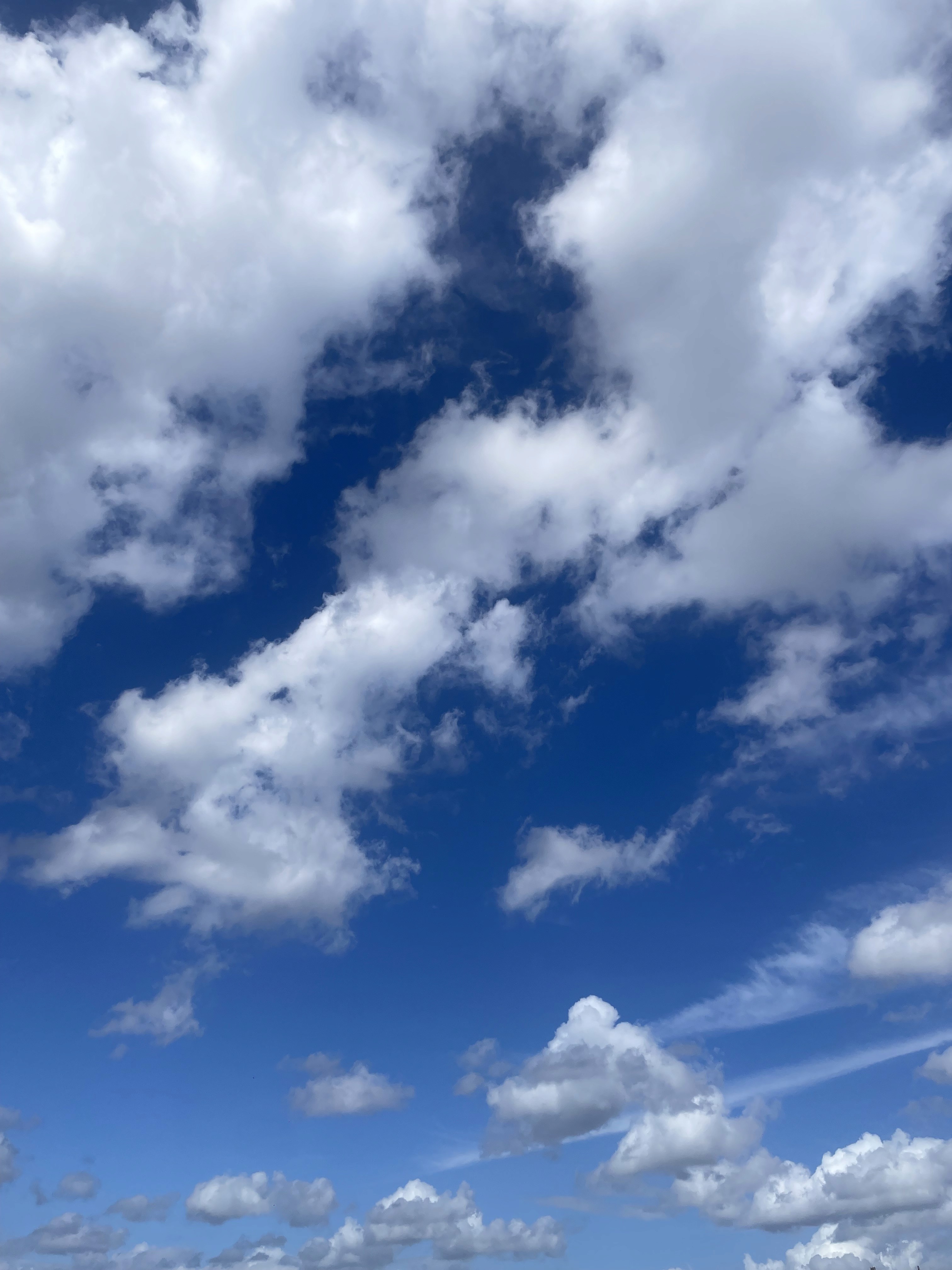 happy woman working on laptop and smiling