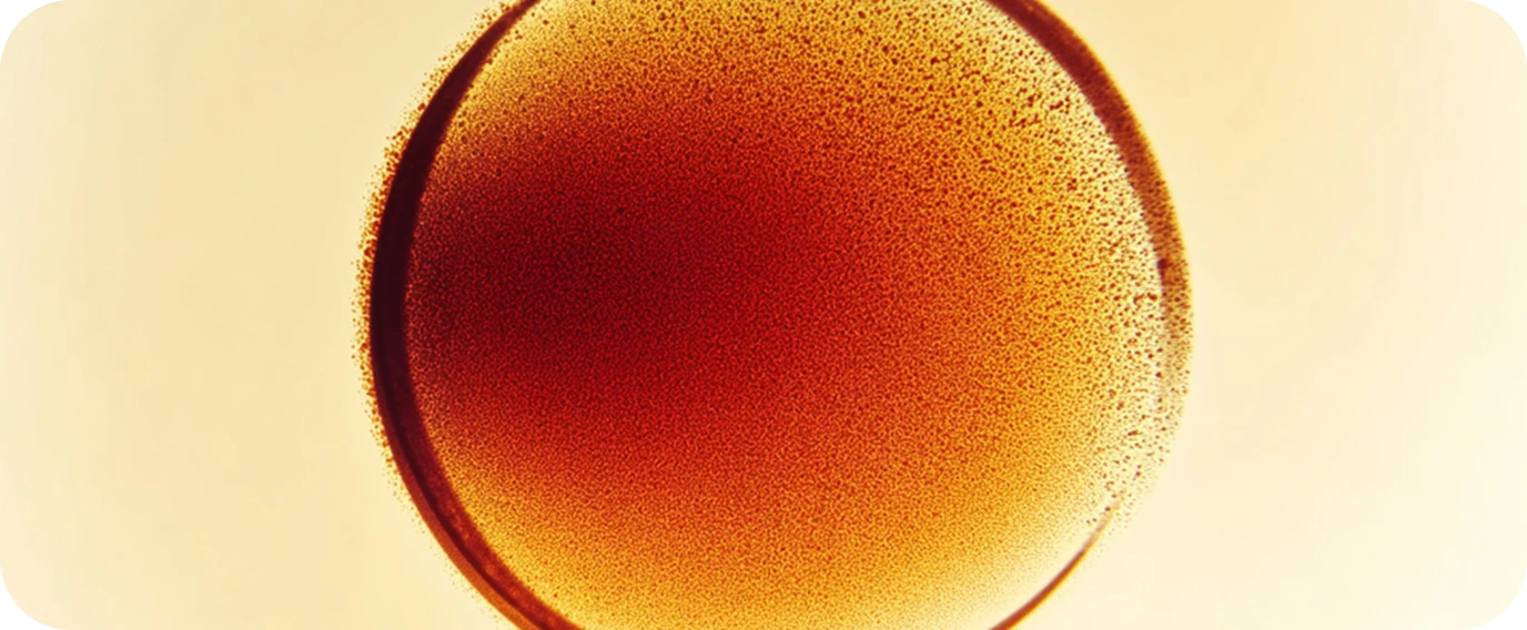 Illustration of spherical nanoparticles with textured surfaces.
