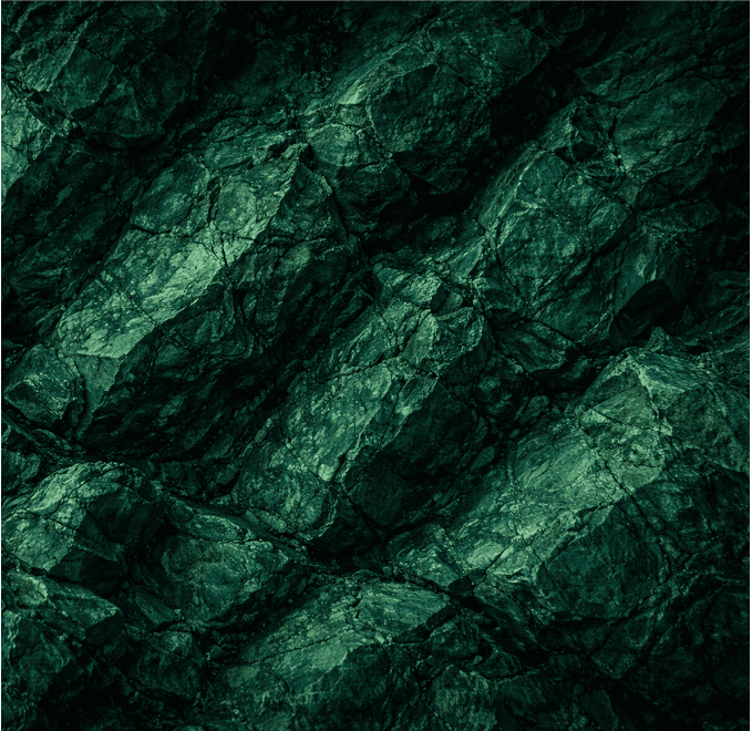 Close-up of a dark green leaf showing its textured surface and central vein against a muted background.