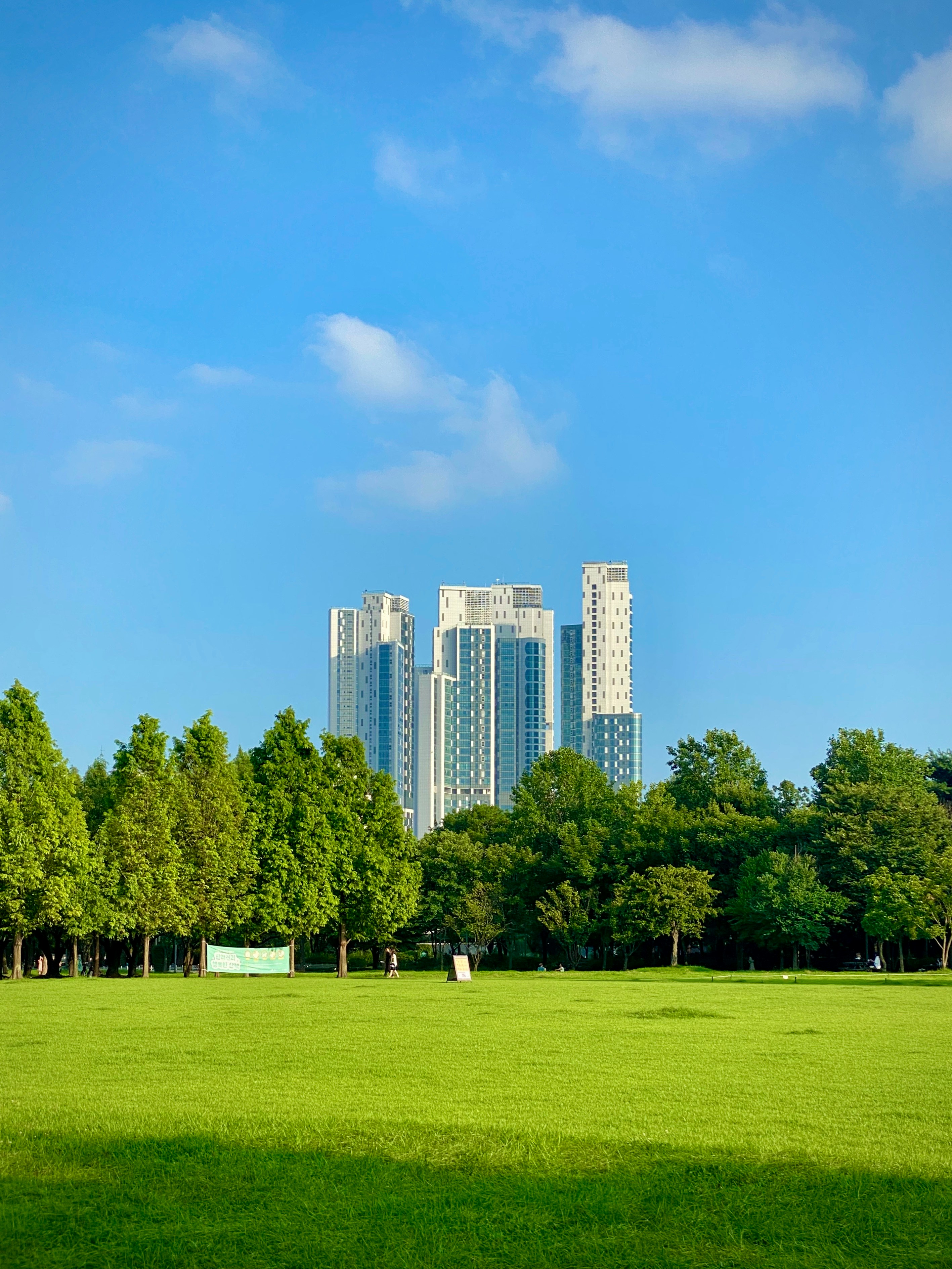 green grass field with trees and high rise buildings in distance
