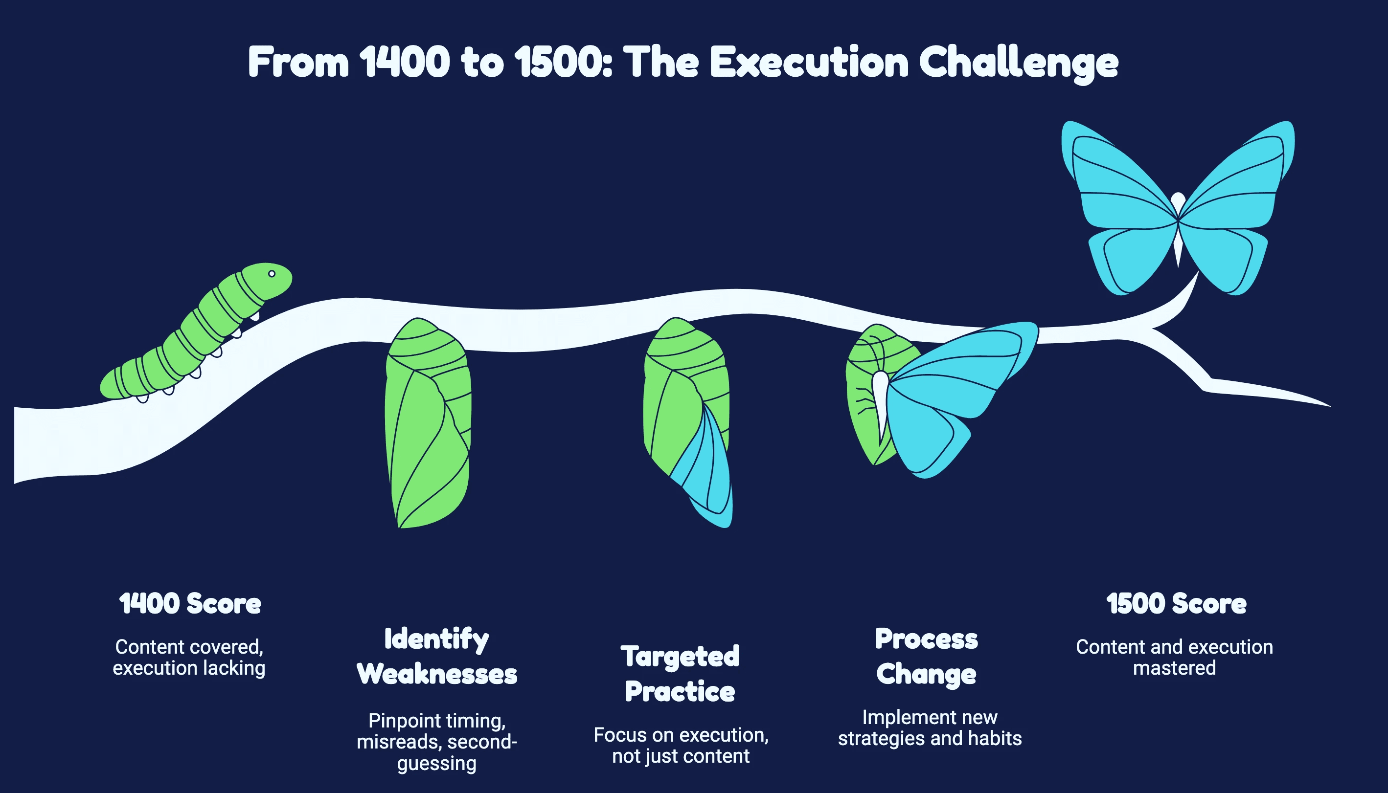 Graph illustrating the decline in species from 100% to 50% extinction, highlighting the urgency of conservation efforts.