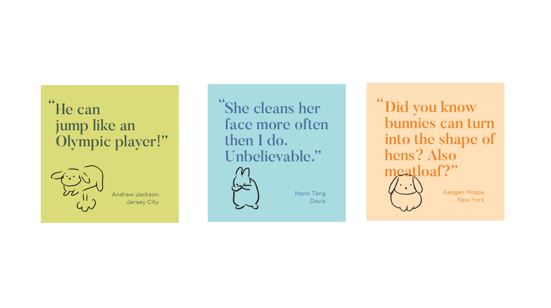 Three cards display different quotes. The first card reads, “He can jump like an Olympic player!” by Andrew Jackson, Jersey City. The second card says, “She cleans her face more often than I do. Unbelievable.” by Nano Tang, Davis. The third card asks, “Did you know bunnies can turn into the shape of hens? Also meatloaf?” by Keegen Hoppe, New York.