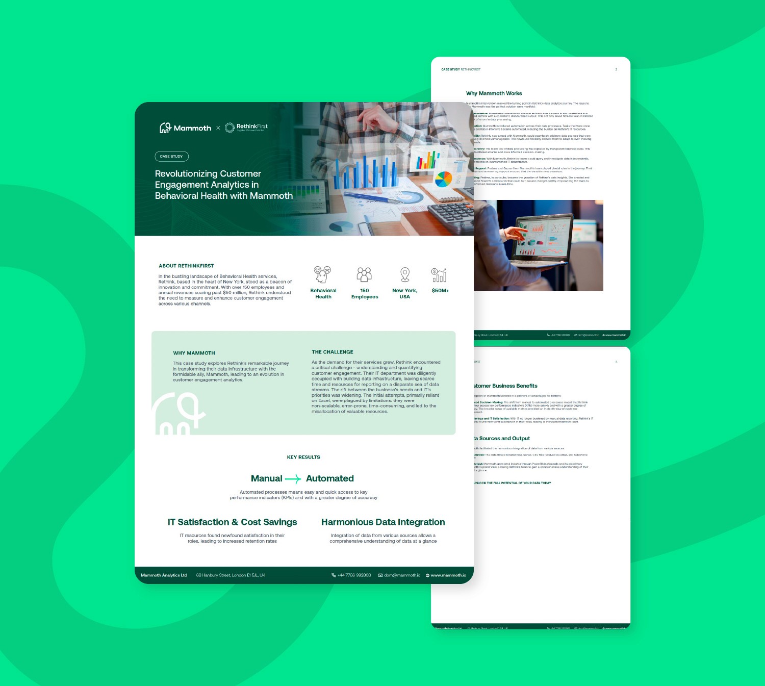 Case Study Redesign Mammoth