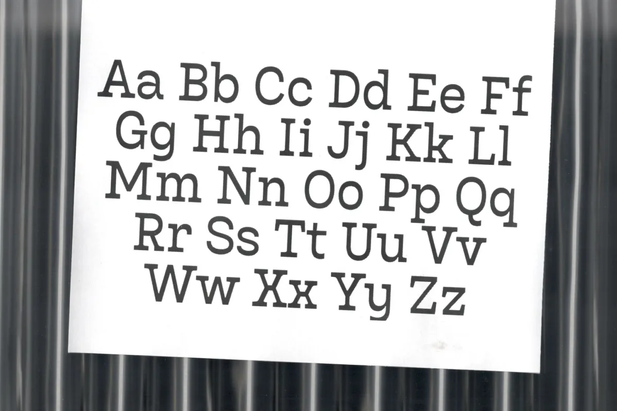 Bardamu basic latin