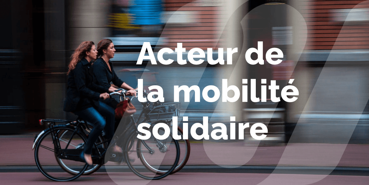 assorted verhicle tire lot