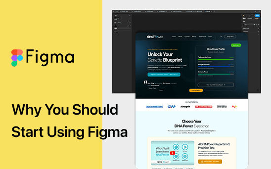 Why You Should Start Using Figma for Your Design Projects