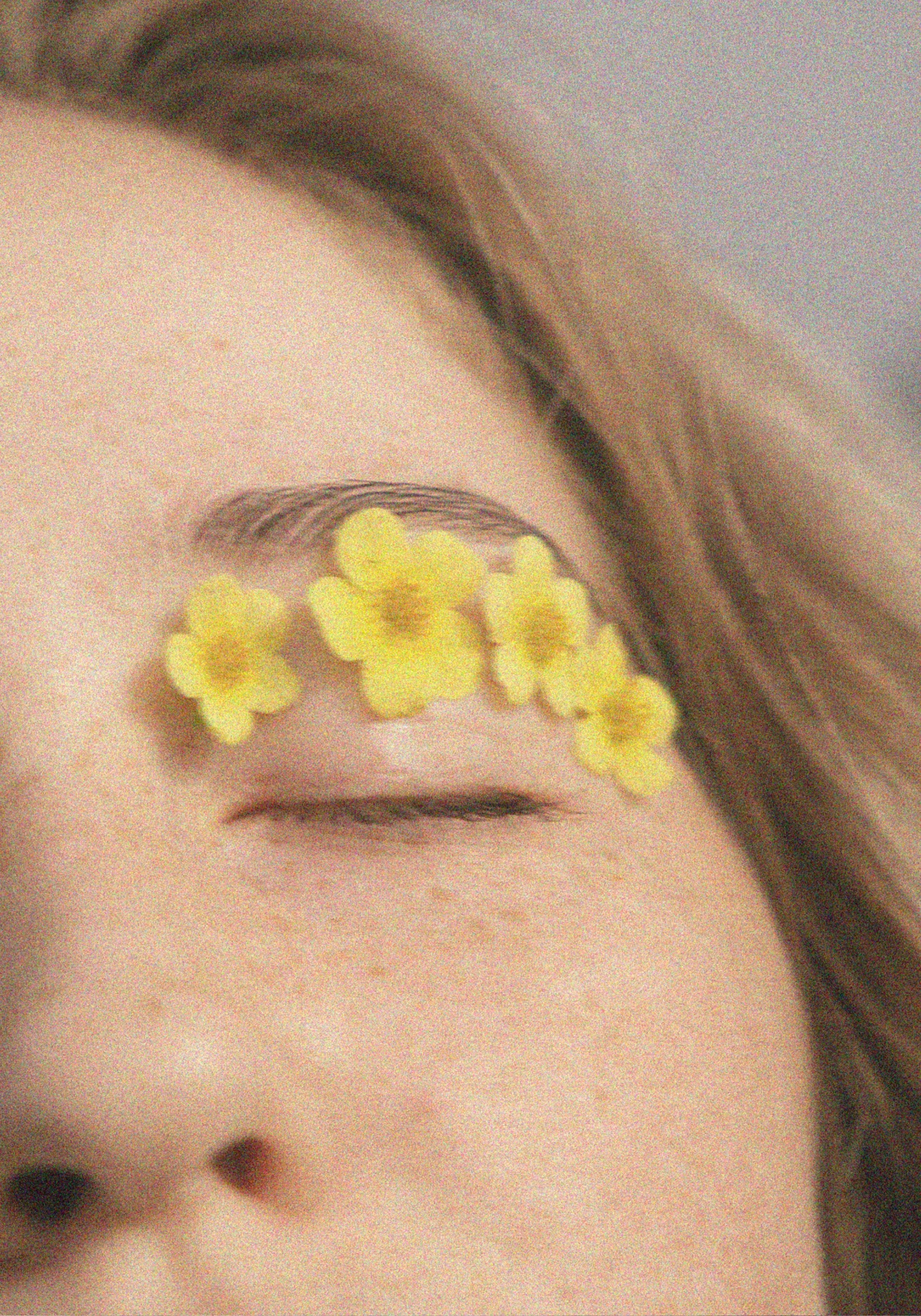 Here comes the alt text