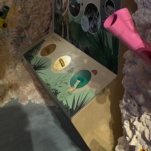 洞窟のような環境に設置された、カラフルなチューブと物を差し込む穴付きのパネルを備えたインタラクティブな展示です。