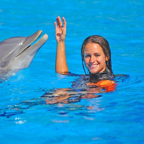 Mujer en el agua con un delfín, sonriendo y levantando una mano, sobre un fondo azul brillante.