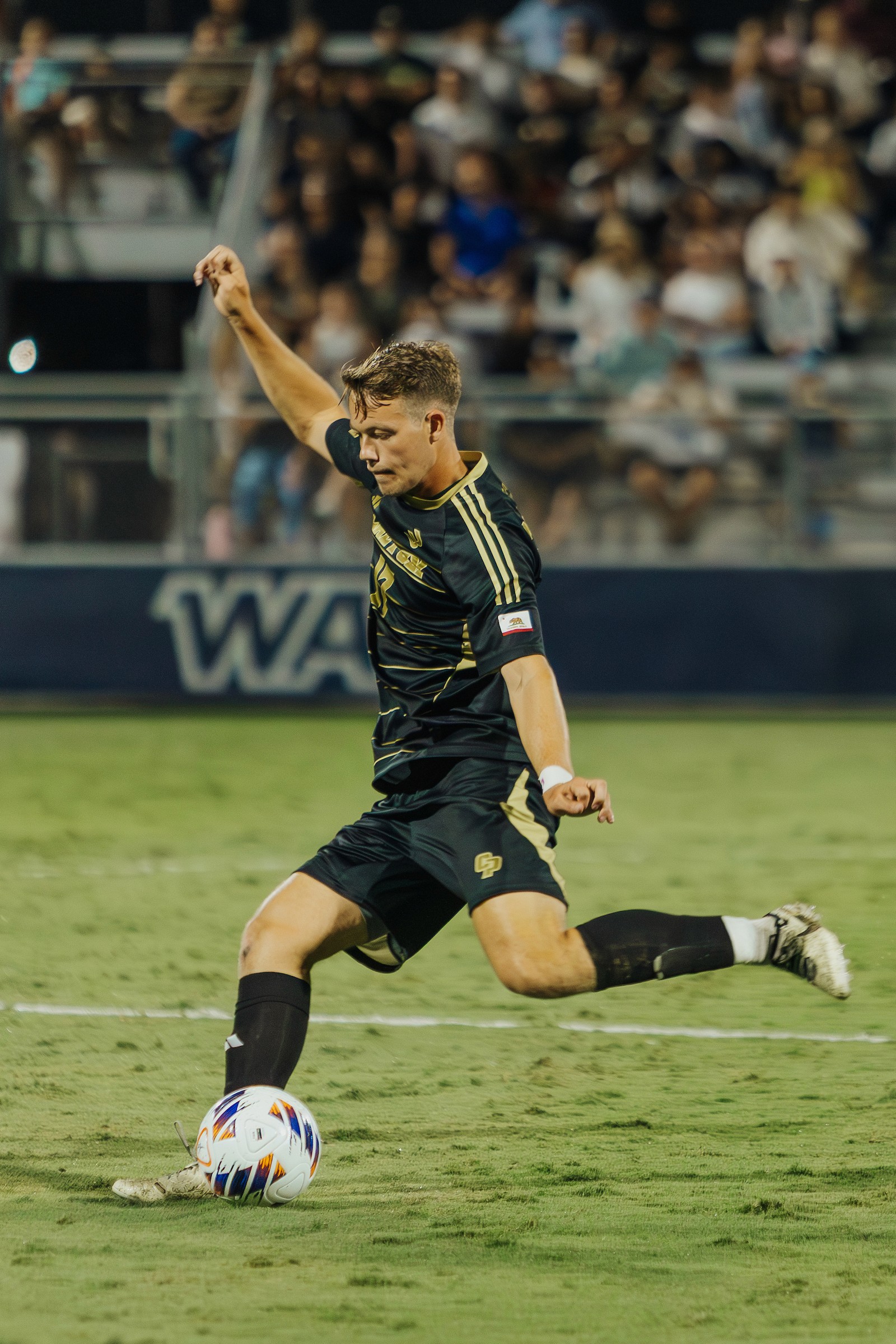 Concetrated triathlete grayscale