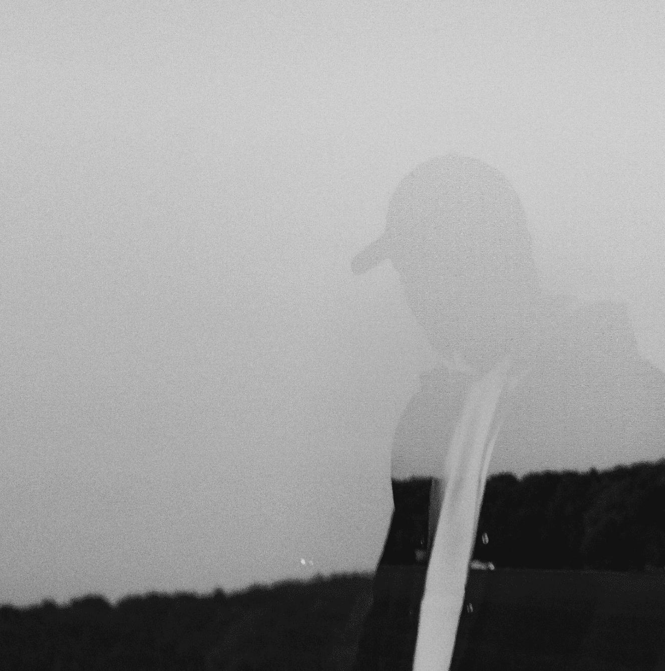 Man On The Chair
